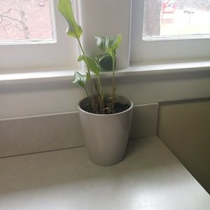 Meet your Posher, Erika